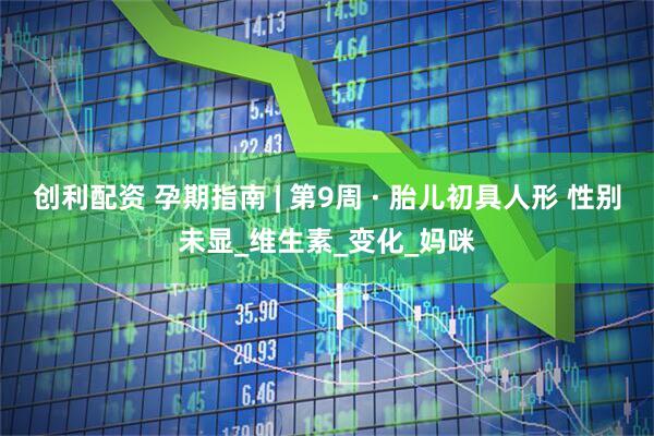 创利配资 孕期指南 | 第9周 · 胎儿初具人形 性别未显_维生素_变化_妈咪