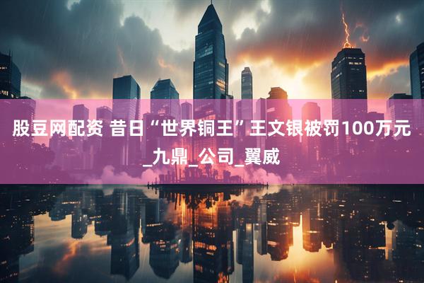 股豆网配资 昔日“世界铜王”王文银被罚100万元_九鼎_公司_翼威