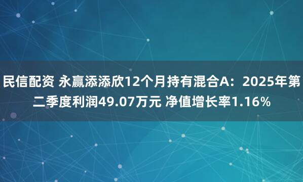 民信配资 永赢添添欣12个月持有混合A：2025年第二季度利润49.07万元 净值增长率1.16%