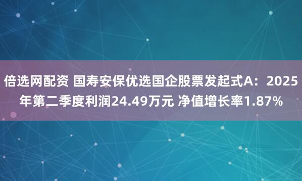 倍选网配资 国寿安保优选国企股票发起式A：2025年第二季度利润24.49万元 净值增长率1.87%