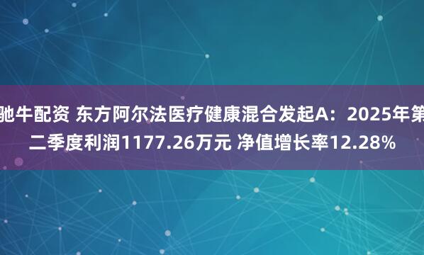 驰牛配资 东方阿尔法医疗健康混合发起A：2025年第二季度利润1177.26万元 净值增长率12.28%